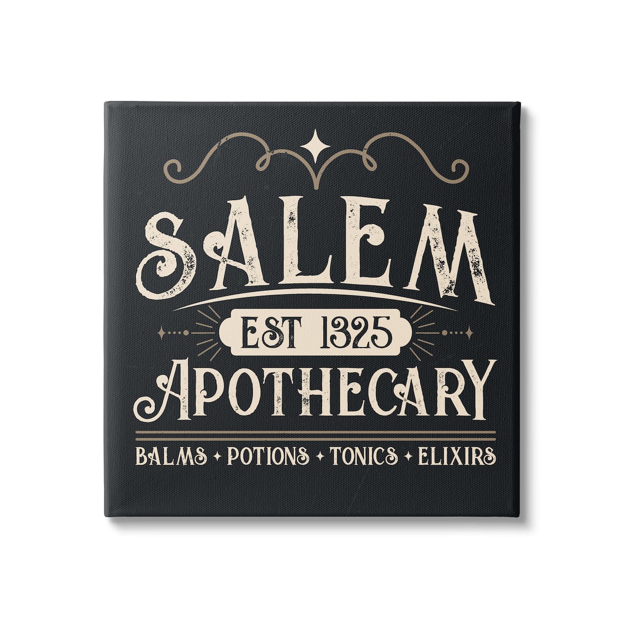 Stupell Industries Salem Apothecary Vintage Witch Sign Square Canvas Wall Art